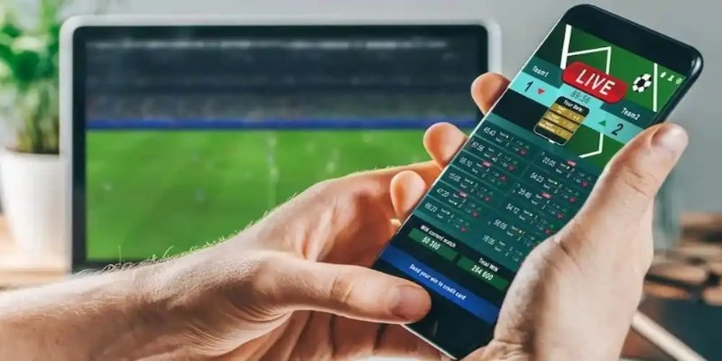 Hỗ trợ khách hàng 24/7, giải quyết vấn đề nhanh chóng